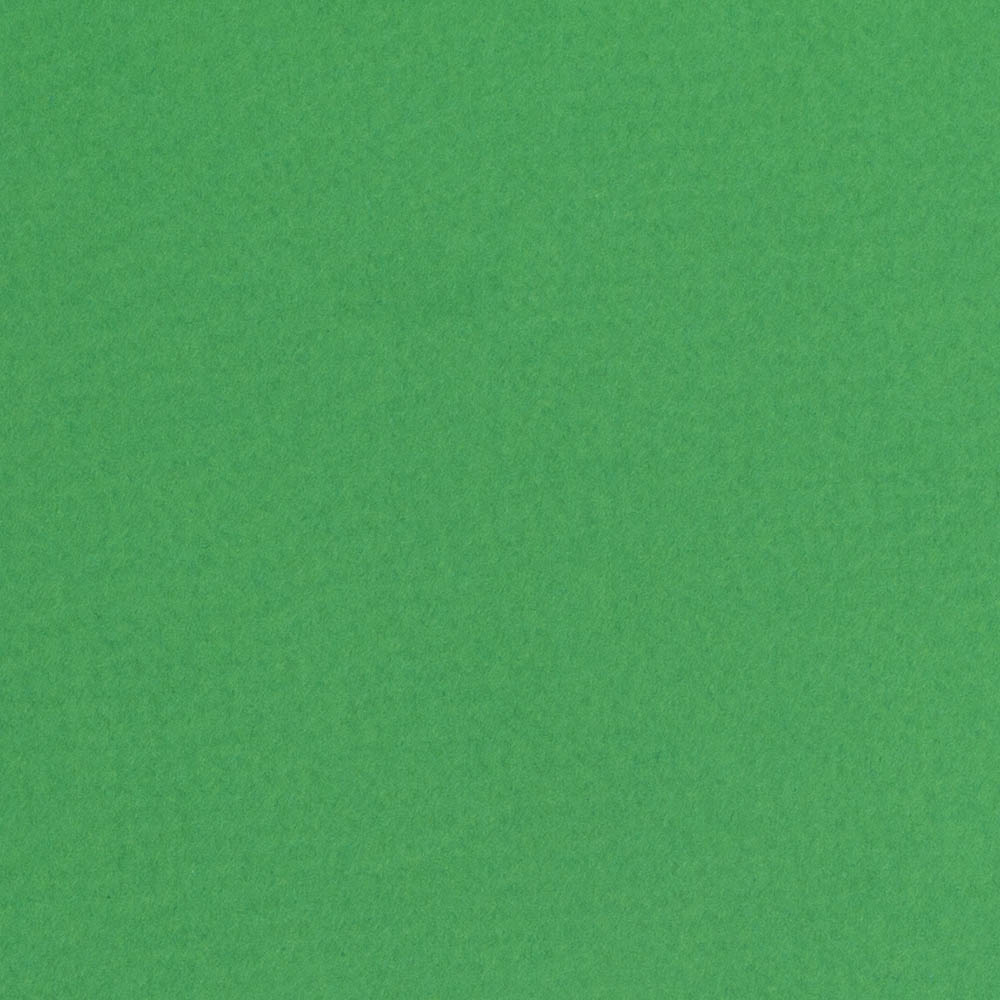 Fabriano, Green, Loose Paper, Art & School, 20"x26", Tiziano, 160gsm, Emerald, 406909